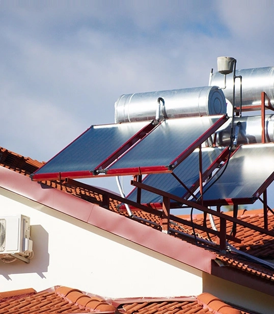 Solar for Tea Gardens